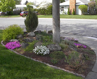rock garden at the corner of Tinkle and Birch Ave