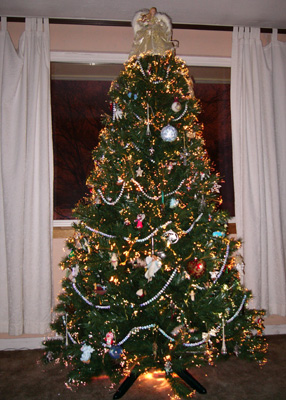 Our fiber-optic Christmas tree.
