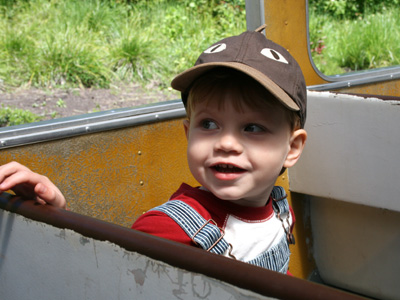 zoo train